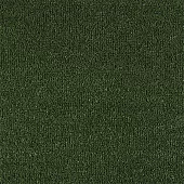 Прошивное покрытие Grass 2,5м 04_014_7000000