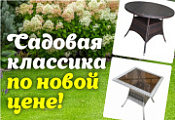 До 31 июля 2025