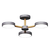 ЛЮСТРА WD6000/3C-GR