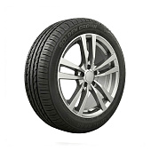 Шина 17 205/50R17 Golden Crown